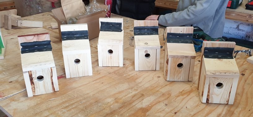 Finished bird boxes created by Back On Track young people at Urban Workbench