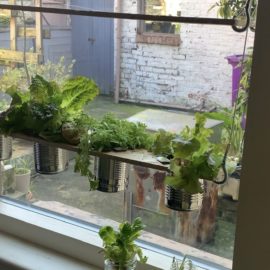 window planter